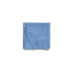 Cashmere Silk Scarf with Lurex Frame